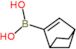 5-bicyclo[2.2.1]hept-5-enylboronic acid