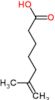 6-methylhept-6-enoic acid