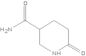 3-Piperidincarbonsäureamid,6-oxo-(9CI)