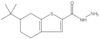 6-(1,1-Dimethylethyl)-4,5,6,7-tetrahydrobenzo[b]thiophene-2-carboxylic acid hydrazide