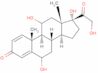 6b-Hydroxy Cortisol