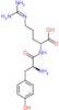 L-tyrosyl-N~5~-(diaminomethylidene)-D-ornithine
