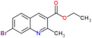 Ethyl 7-bromo-2-methyl-3-quinolinecarboxylate