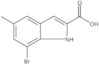 7-Bromo-5-methyl-1H-indole-2-carboxylic acid