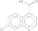 7-chloroquinoline-4-carboxylic acid