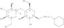 b-D-Glucopyranoside,7-cyclohexylheptyl 4-O-a-D-glucopyranosyl-
