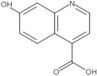 7-Hydroxy-4-quinolinecarboxylic acid