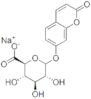 7-idrossicumarina B-D-glucuronide,*sodio