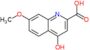 4-hydroxy-7-methoxyquinoline-2-carboxylic acid