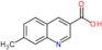 7-methylquinoline-3-carboxylic acid