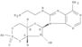 Adenosine,8-[(2-aminoethyl)amino]-, cyclic 3',5'-(hydrogen phosphate)