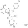 Adenosine, 8-[(4-chlorophenyl)thio]-, cyclic 3′,5′-(hydrogen phosphate), sodium salt (1:1)