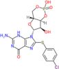 8-(4-Chlorophenylthio)-cGMP