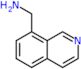 1-(isoquinolin-8-yl)methanamine