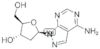 4-AMINO-1-PYRAZOLO[3,4-D]PYRIMIDINYL 2'-DEOXYRIBONUCLEOSIDE