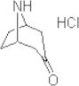 nortropinone hydrochloride