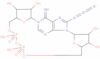 8-azido-cyclic adenosine*diphosphate-ribose