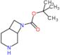 tert-butyl 3,8-diazabicyclo[4.2.0]octane-8-carboxylate