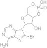 8-bromoadenosine-3',5'-cyclophosphoric acid
