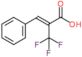(Z)-3-phenyl-2-(trifluoromethyl)prop-2-enoic acid