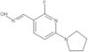 2-Fluoro-6-(1-pyrrolidinyl)-3-pyridinecarboxaldehyde oxime