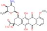 4-[(3-amino-2,3,6-trideoxyhexopyranosyl)oxy]-2,5,12-trihydroxy-7-methoxy-6,11-dioxo-1,2,3,4,6,11-hexahydrotetracene-2-carboxylic acid