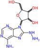 8-hydrazinyl-9-pentofuranosyl-9H-purin-6-amine