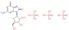 8-oxoguanosine 5'-(tetrahydrogen triphosphate)