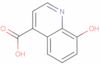 8-Hydroxyquinoline-4-carboxylic acid