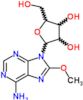 8-methoxy-9-pentofuranosyl-9H-purin-6-amine