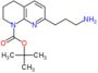 tert-butyl 7-(3-aminopropyl)-3,4-dihydro-2H-1,8-naphthyridine-1-carboxylate