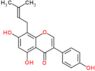 5,7-dihydroxy-3-(4-hydroxyphenyl)-8-(3-methylbut-2-en-1-yl)-4H-chromen-4-one