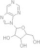 purine-9-beta-D-ribofuranoside