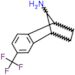 6-(trifluoromethyl)-1,2,3,4-tetrahydro-1,4-methanonaphthalen-9-amine