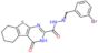 N'-(3-bromobenzylidene)-4-oxo-3,4,5,6,7,8-hexahydro[1]benzothieno[2,3-d]pyrimidine-2-carbohydrazide