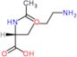 N~2~-acetyl-D-lysine