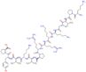L-lysyl-L-prolyl-L-valylglycyl-L-lysyl-L-lysyl-N~5~-(diaminomethylidene)-L-ornithyl-N~5~-(diaminomethylidene)-L-ornithyl-L-prolyl-L-valyl-L-lysyl-L-valyl-L-tyrosyl-L-proline
