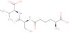 N-[(5S)-5-amino-5-carboxypentanoyl]-L-cysteinyl-D-valine