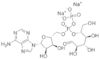 Adenosina-5'-difosfoglucosio