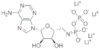 5'-Adenylic acid, monoanhydride with imidodiphosphoric acid, tetralithium salt