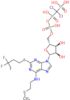 5'-O-[({[dichloro(phosphono)methyl](hydroxy)phosphoryl}oxy)(hydroxy)phosphoryl]-N-[2-(methylsulf...