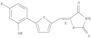 2,4-Thiazolidinedione,5-[[5-(4-fluoro-2-hydroxyphenyl)-2-furanyl]methylene]-, (5Z)-