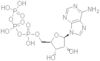 5′-ATP