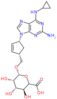 (3S,4S,5S,6R)-6-[[(1S,4R)-4-[2-amino-6-(cyclopropylamino)purin-9-yl]cyclopent-2-en-1-yl]methoxy]-3,4,5-trihydroxy-tetrahydropyran-2-carboxylic acid