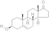 Dehydroepiandrosterone