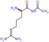 N-acetyl-N~5~-(diaminomethylidene)ornithinamide