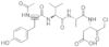 interleukin-1B (1L-1B) converting*enzyme (ice) in