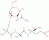 N2-[N-(N-acetylmuramoyl)-L-alanyl]-D-α-glutamine