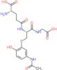 3-(Glutathion-S-yl)acetaminophen