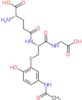 L-gamma-glutamyl-S-[5-(acetylamino)-2-hydroxyphenyl]-L-cysteinylglycine